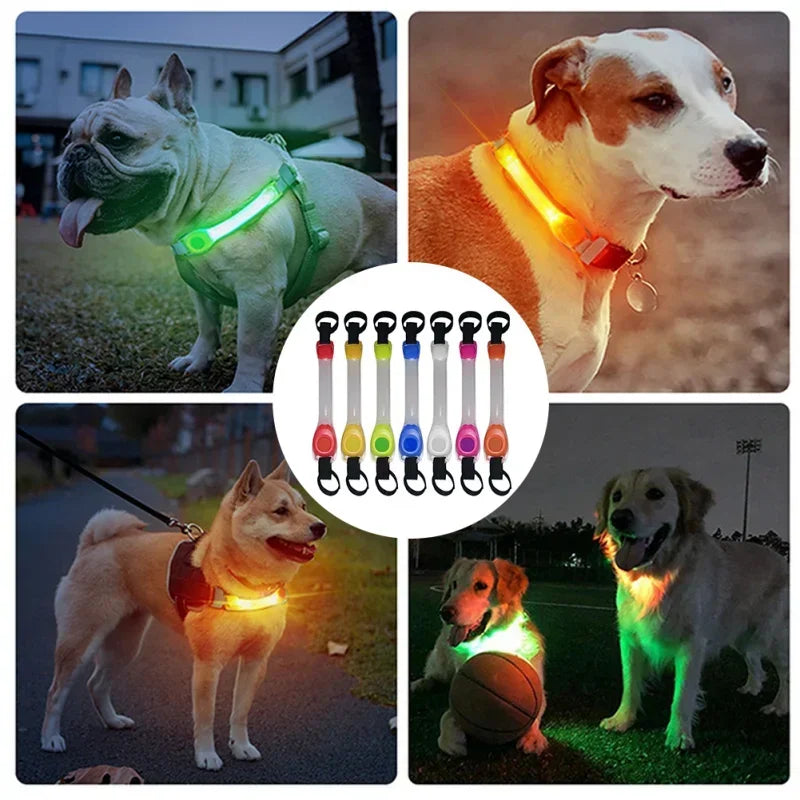 LED Glow Dog Safety Collar