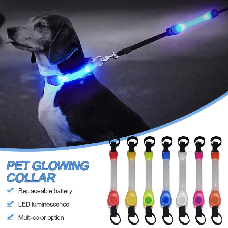 LED Glow Dog Safety Collar