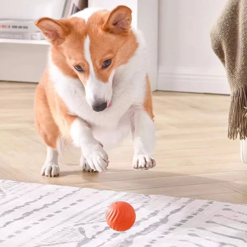 Automatic Interactive Dog Toy Ball