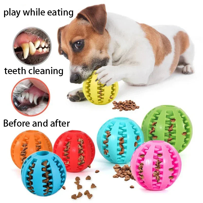 Dog Treat Dispensing Chew Ball