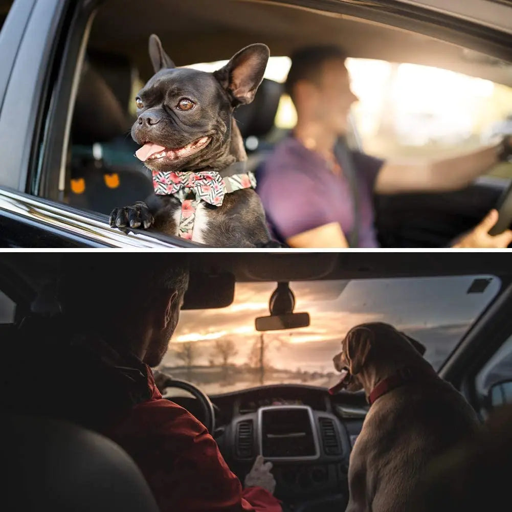 Funda Impermeable y Antideslizante para Asiento Delantero de Perro