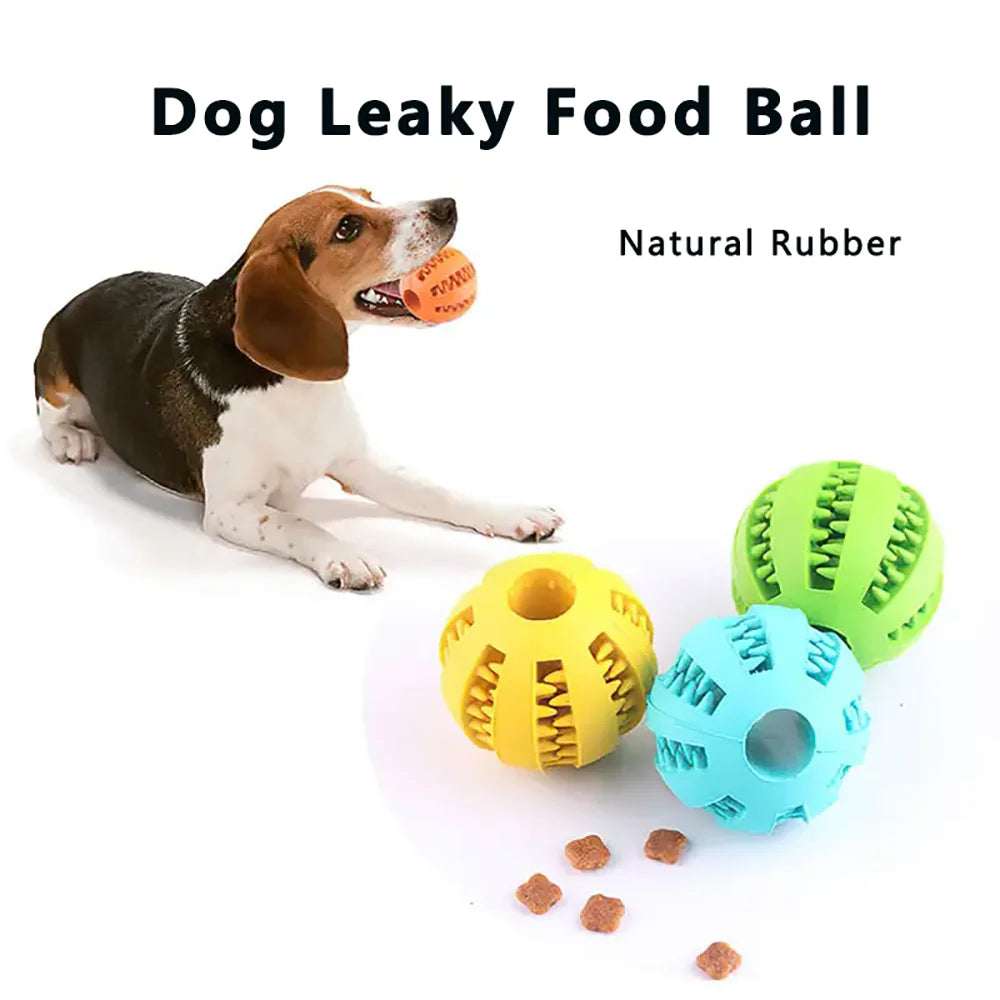 Dog Treat Dispensing Chew Ball