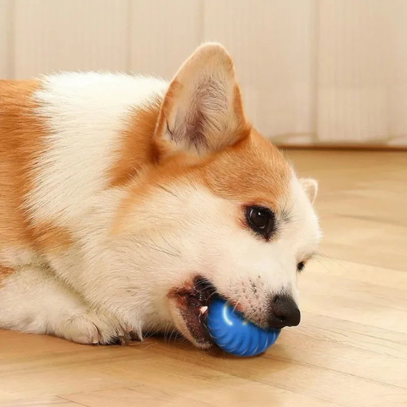 Automatic Interactive Dog Toy Ball