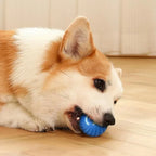 Automatic Interactive Dog Toy Ball