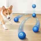 Automatic Interactive Dog Toy Ball